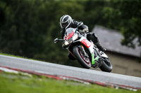 PJM-Photography;anglesey;brands-hatch;cadwell-park;croft;donington-park;enduro-digital-images;event-digital-images;eventdigitalimages;mallory;no-limits;oulton-park;peter-wileman-photography;racing-digital-images;silverstone;snetterton;trackday-digital-images;trackday-photos;vmcc-banbury-run;welsh-2-day-enduro